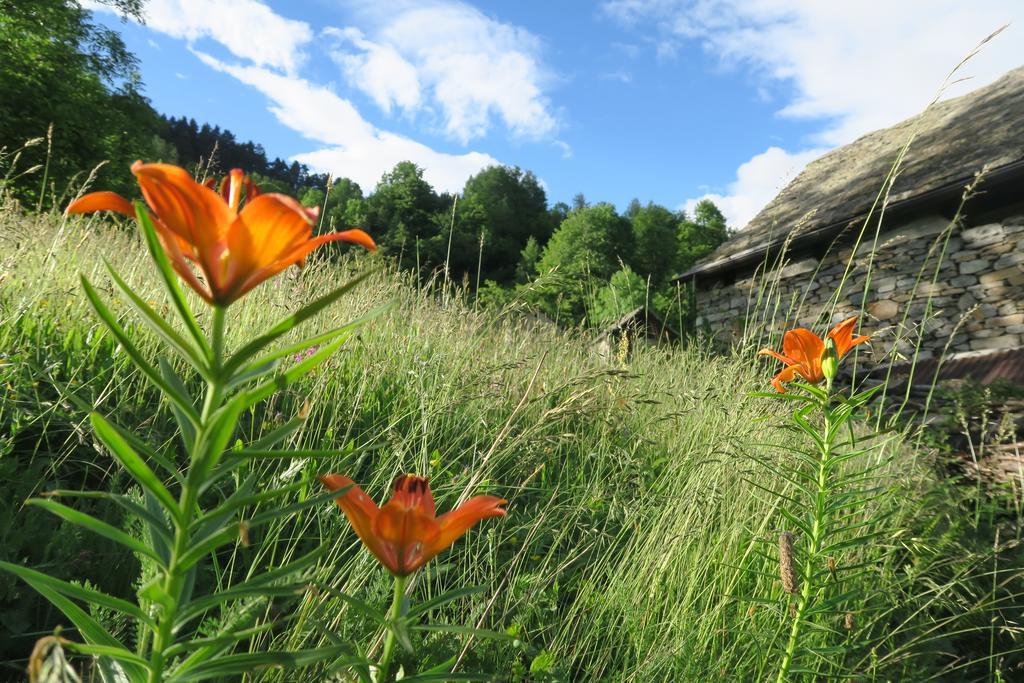 B&B Alpe Veglia Varzo Eksteriør bilde